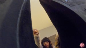 Giantess Crew - JAZZ - UGGS